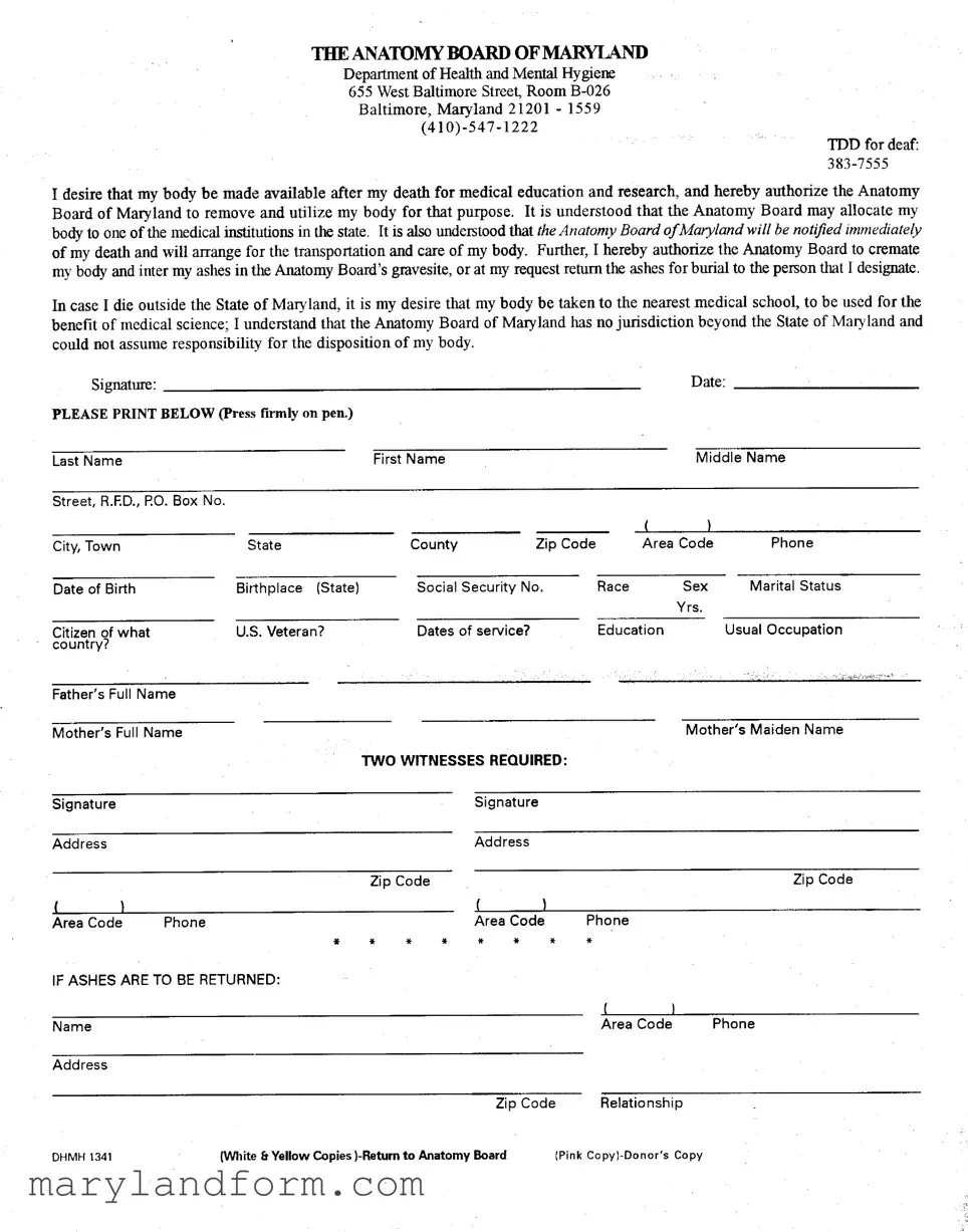 Maryland Anatomy Template in PDF